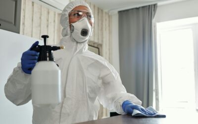 The Importance of Eco-Friendly Cleaning Products: How to Safely Clean Your Home While Protecting the Environment