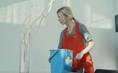 Top 10 Tips for Keeping Your Home Clean and Organized All Year Round